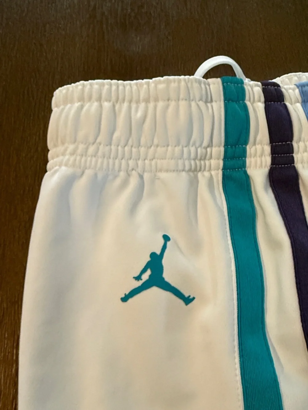 Jordan Charlotte Hornets On Court Player Shorts Nike 44 Pro Cut Game - Picture 9 of 13